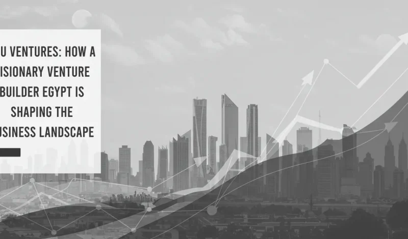 venture builder Egypt