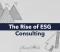 ESG Consulting ESG Consulting