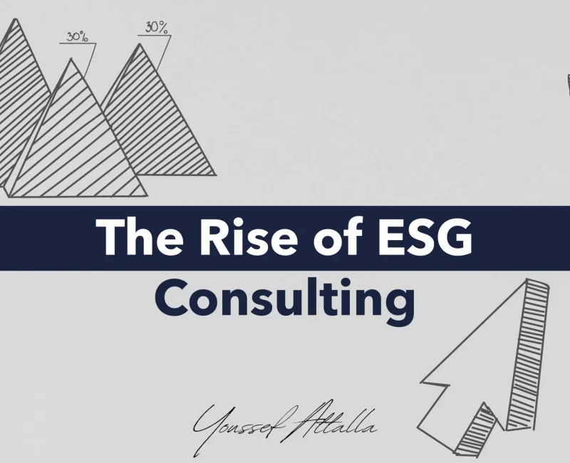ESG Consulting