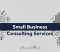 small business consulting services​