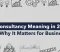 blogss-v8Artboard-4-copy-2 consultancy meaning